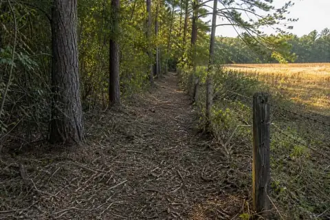 Freshly mulched East Texas ranch fence corridor revealing old cedar posts beside a hay meadow